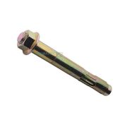 Болт анкерный с гайкой 10 х 60(77) мм/50/110/