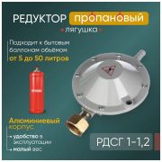 Редуктор газовый РДСГ-1-1,2 Лягушка