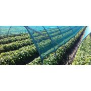 Сетка затеняющая для теплиц, фасадов 55гр 4м х 6м.(24м2)